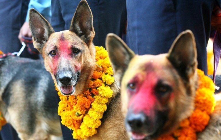 आज कुकुर तिहार